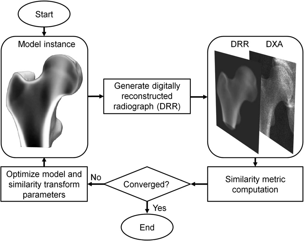 Flowchart illustrating the iterative process of 3D-DXA.