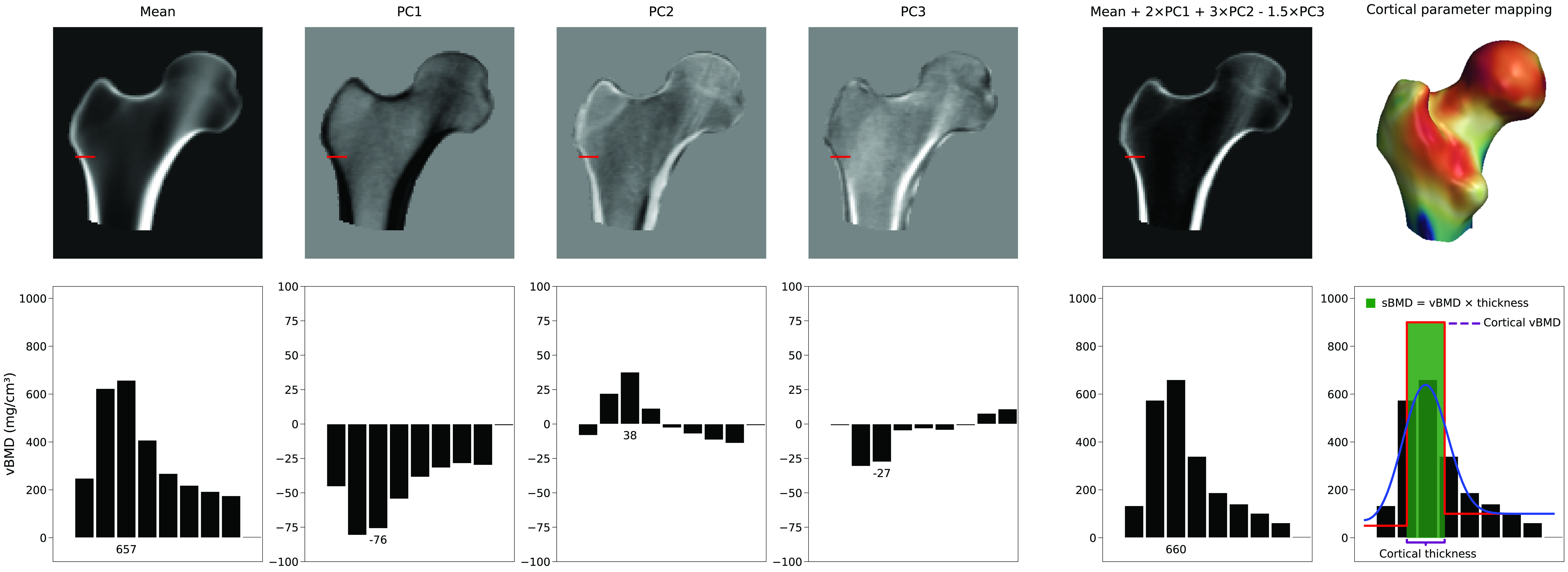 Example of generating an instance of a density model and measuring the cortical parameters.